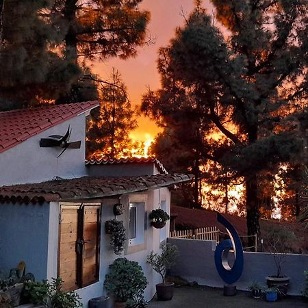 Casa Aguar: Acogedora Casa De Invitados En El Bosque Barrial 外观 照片