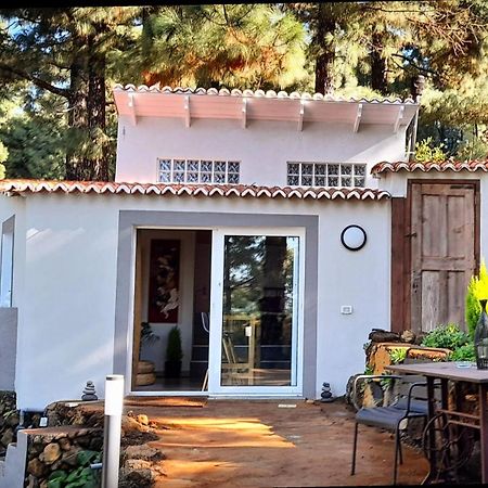 Casa Aguar: Acogedora Casa De Invitados En El Bosque Barrial 外观 照片