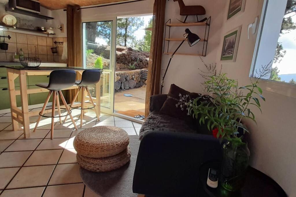 Casa Aguar: Acogedora Casa De Invitados En El Bosque Barrial 外观 照片
