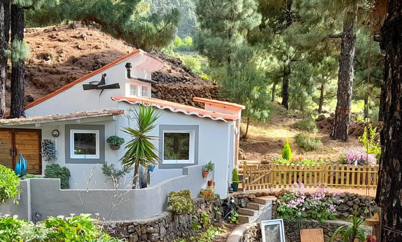 Casa Aguar: Acogedora Casa De Invitados En El Bosque Barrial 外观 照片