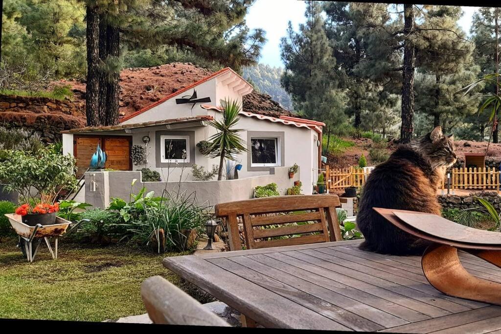 Casa Aguar: Acogedora Casa De Invitados En El Bosque Barrial 外观 照片
