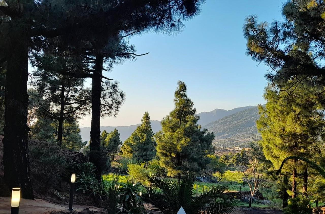 Casa Aguar: Acogedora Casa De Invitados En El Bosque Barrial 外观 照片