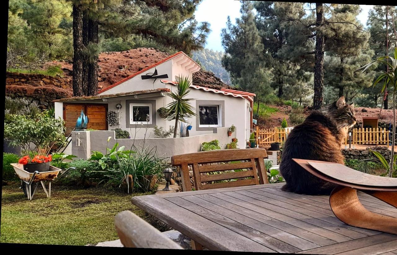 Casa Aguar: Acogedora Casa De Invitados En El Bosque Barrial 外观 照片