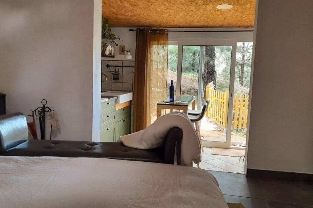 Casa Aguar: Acogedora Casa De Invitados En El Bosque Barrial 外观 照片