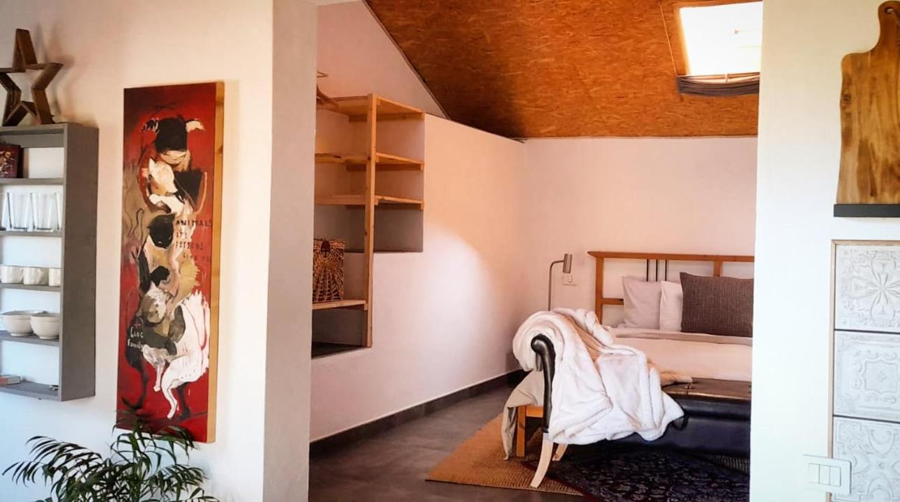 Casa Aguar: Acogedora Casa De Invitados En El Bosque Barrial 外观 照片