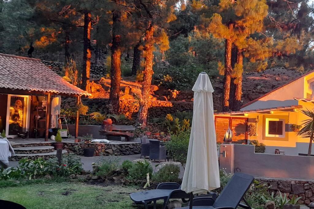 Casa Aguar: Acogedora Casa De Invitados En El Bosque Barrial 外观 照片