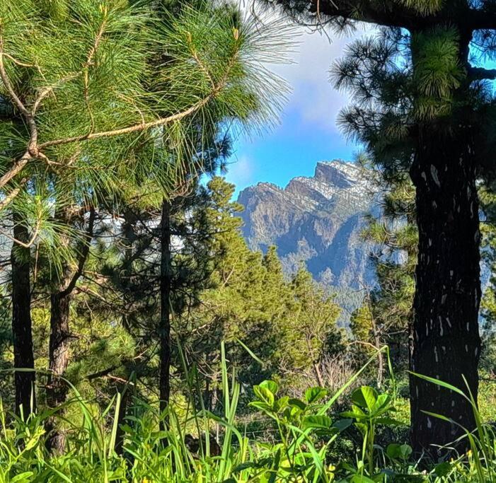 Casa Aguar: Acogedora Casa De Invitados En El Bosque Barrial 外观 照片