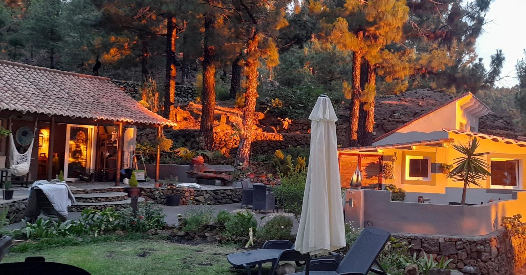 Casa Aguar: Acogedora Casa De Invitados En El Bosque Barrial 外观 照片